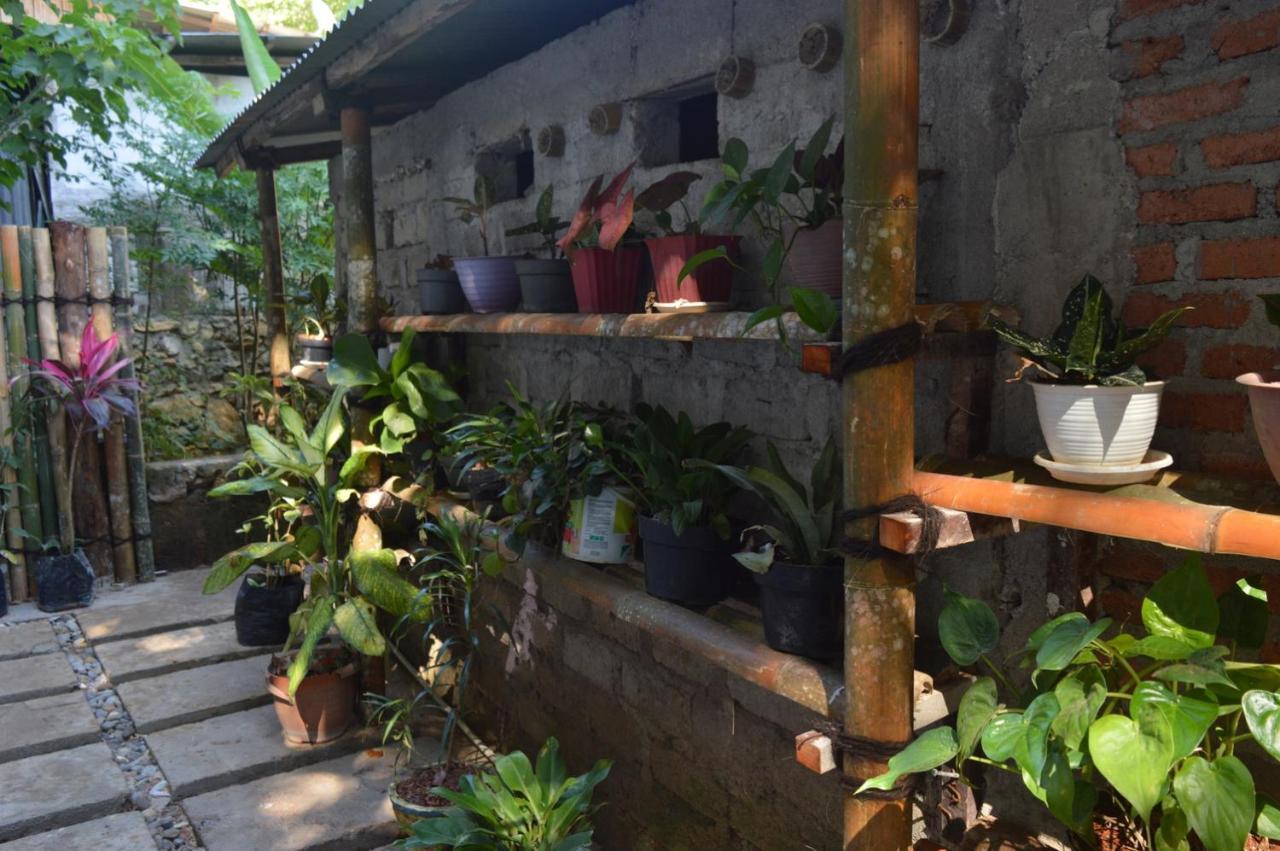 Labuan Bajo Mahoni Guesthouse 外观 照片